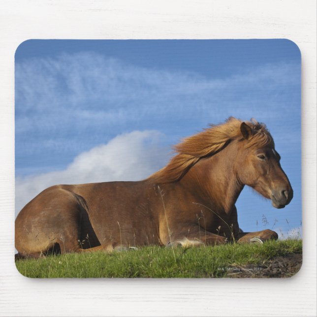 Icelandic horse resting and sky mouse pad (Front)
