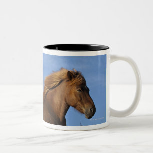 Icelandic horse resting and sky Two-Tone coffee mug