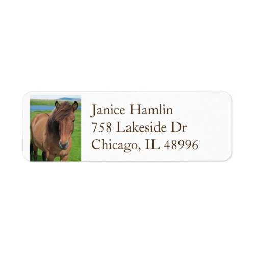 Icelandic Horse return address label