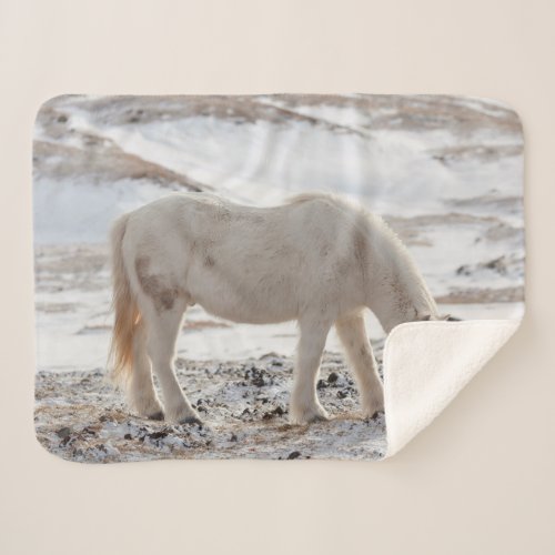 Icelandic Horse Sherpa Blanket