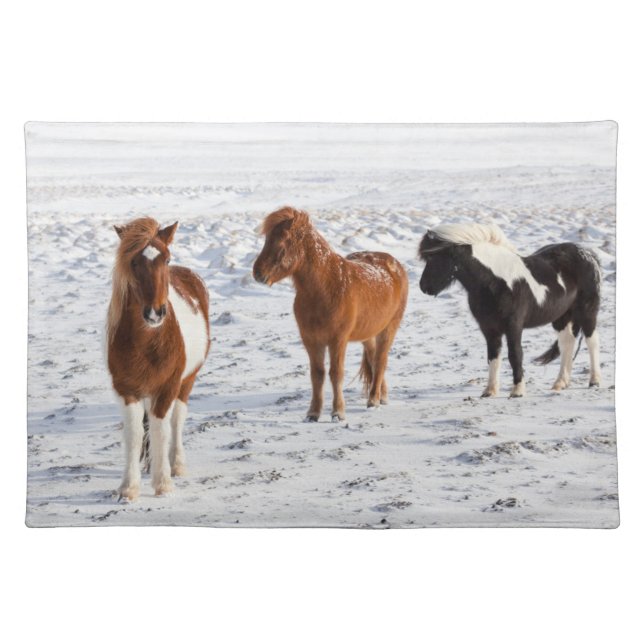 Icelandic Horse with Typical Winter Coat Cloth Placemat (Front)