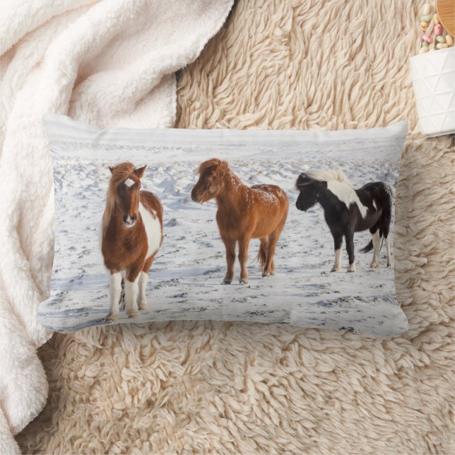 Icelandic Horse with Typical Winter Coat Lumbar Pillow (Blanket)