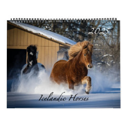 Icelandic Horses 2025 Calendar