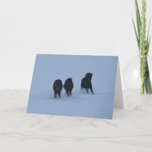 Icelandic Horses Card