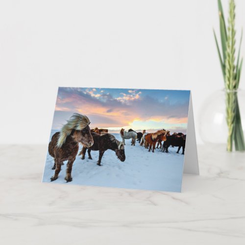 Icelandic Horses Card