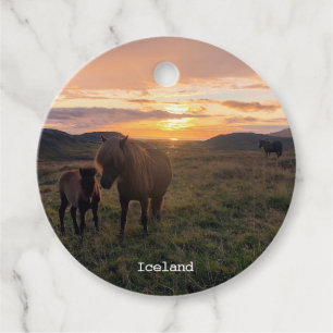Icelandic horses - favor tags