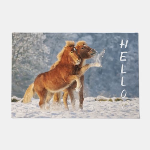 Icelandic horses foal funny playing in snow _ doormat