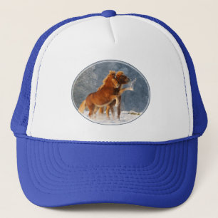 Icelandic Horses Foal Play in Snow Funny Photo Trucker Hat
