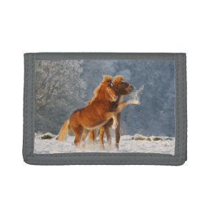 Icelandic horses foal playing in snow trifold wallet