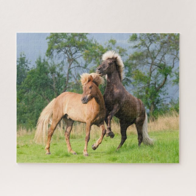 Icelandic Horses Funny Playing Photo - Jigsaw Jigsaw Puzzle (Horizontal)