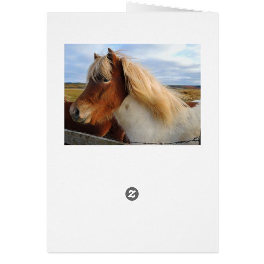 Icelandic Horses Galore (Back)