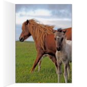 Icelandic Horses Galore Cards (Inside (Right))