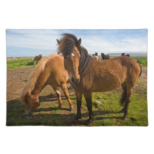 Icelandic Horses Graze Cloth Placemat