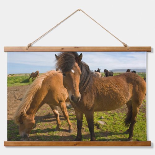 Icelandic Horses Graze Hanging Tapestry