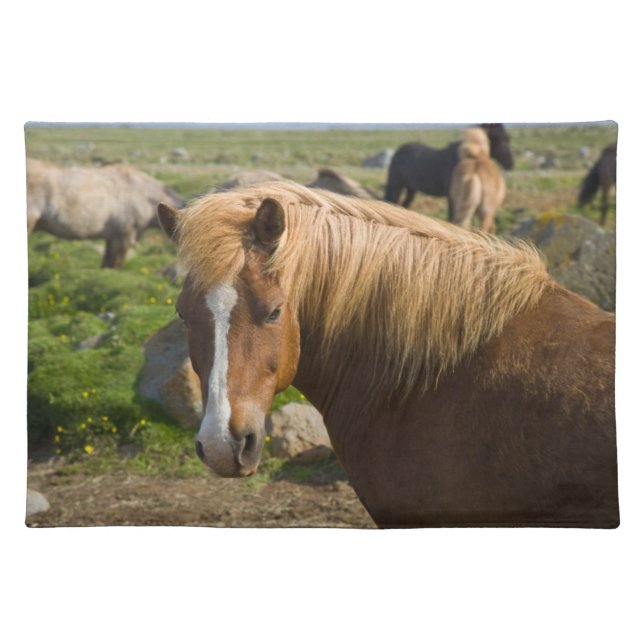 Icelandic Horses in Northeastern Iceland Cloth Placemat (Front)