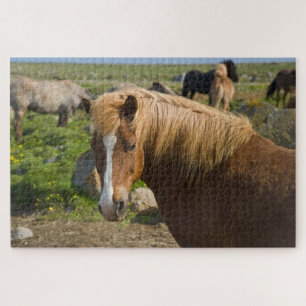 Icelandic Horses in Northeastern Iceland Jigsaw Puzzle