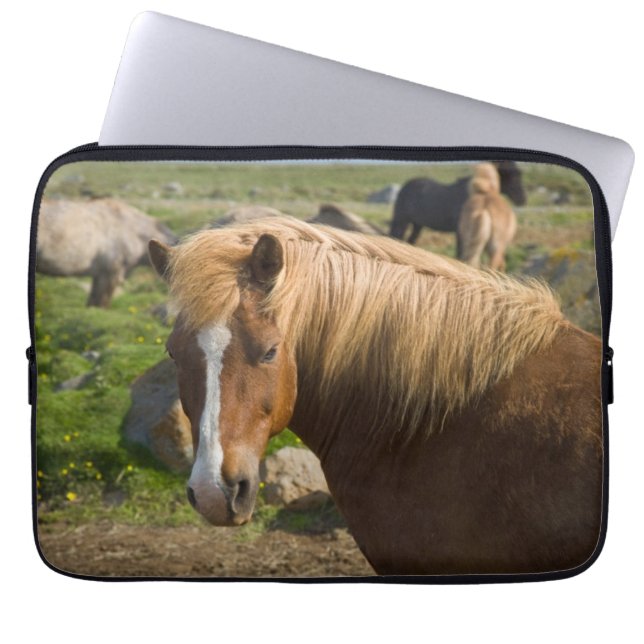 Icelandic Horses in Northeastern Iceland Laptop Sleeve (Front)