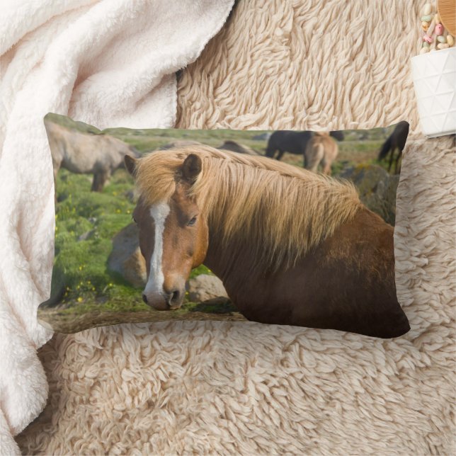 Icelandic Horses in Northeastern Iceland Lumbar Pillow (Blanket)