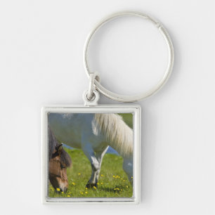 Icelandic Horses in western Iceland. Keychain