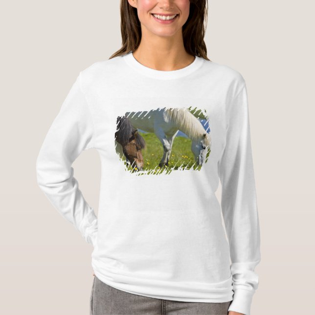 Icelandic Horses in western Iceland. T-Shirt (Front)