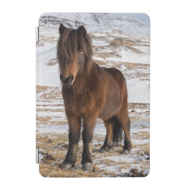 Icelandic Horses in Winter iPad Mini Cover (Front)