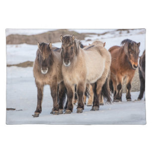 Icelandic Horses in Winter Near Hofn, Iceland Cloth Placemat