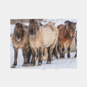 Icelandic Horses in Winter Near Hofn, Iceland Fleece Blanket