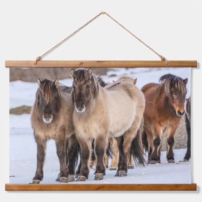 Icelandic Horses in Winter Near Hofn, Iceland Hanging Tapestry (Front)