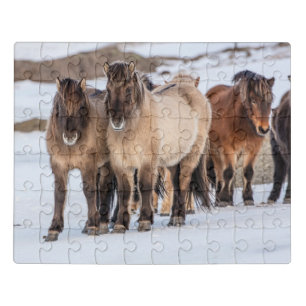 Icelandic Horses in Winter Near Hofn, Iceland Jigsaw Puzzle