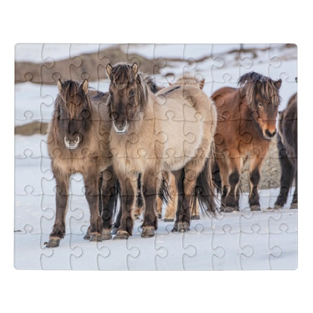 Icelandic Horses in Winter Near Hofn, Iceland Jigsaw Puzzle (Puzzle Horizontal)