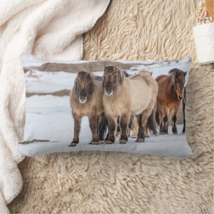 Icelandic Horses in Winter Near Hofn, Iceland Lumbar Pillow
