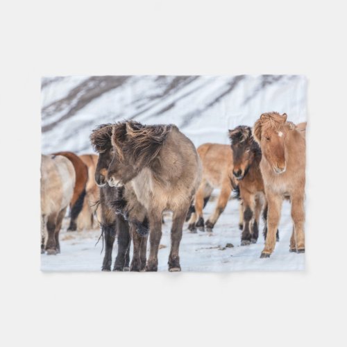 Icelandic Horses in Winter Pasture Near Hofn Fleece Blanket