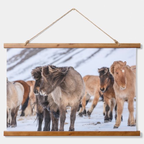 Icelandic Horses in Winter Pasture Near Hofn Hanging Tapestry