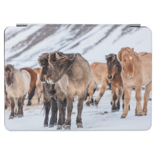 Icelandic Horses in Winter Pasture Near Hofn iPad Air Cover