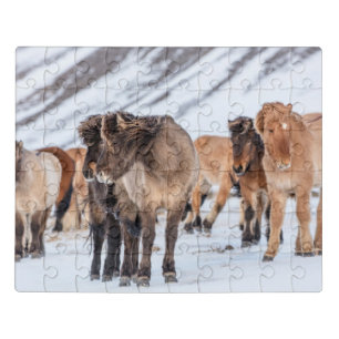 Icelandic Horses in Winter Pasture Near Hofn Jigsaw Puzzle