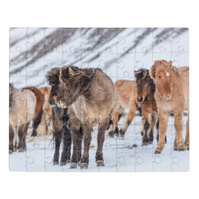 Icelandic Horses in Winter Pasture Near Hofn Jigsaw Puzzle (Puzzle Horizontal)