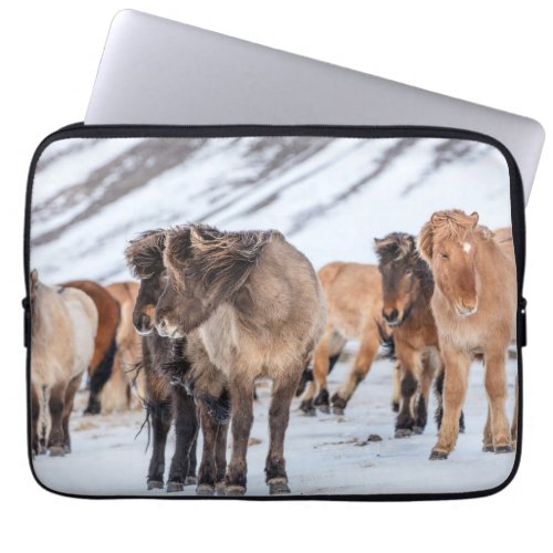 Icelandic Horses in Winter Pasture Near Hofn Laptop Sleeve