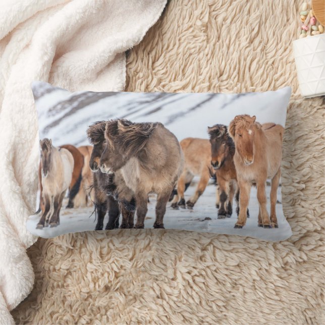 Icelandic Horses in Winter Pasture Near Hofn Lumbar Pillow (Blanket)