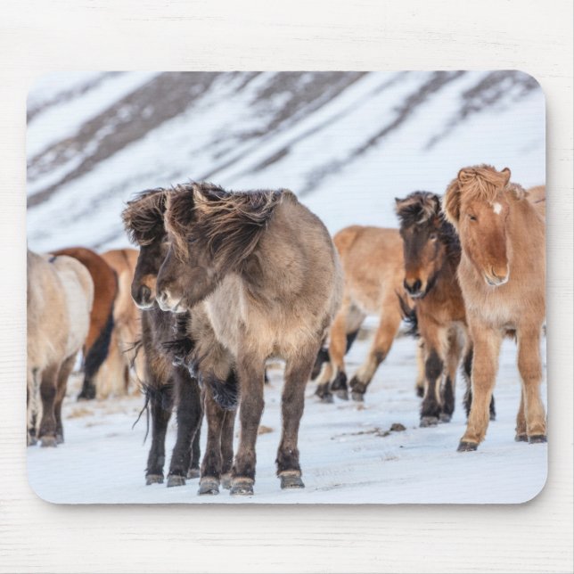 Icelandic Horses in Winter Pasture Near Hofn Mouse Pad (Front)