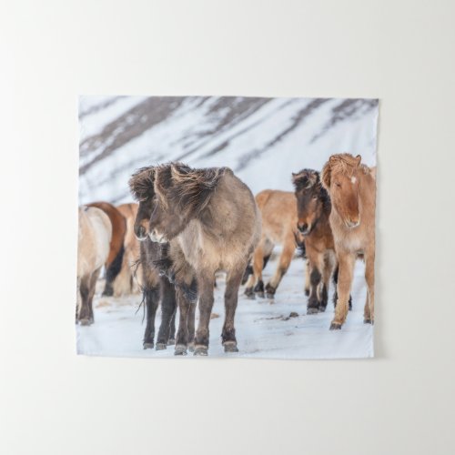 Icelandic Horses in Winter Pasture Near Hofn Tapestry