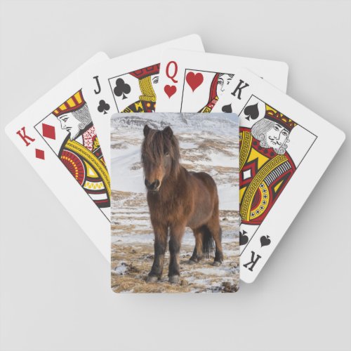 Icelandic Horses in Winter Poker Cards