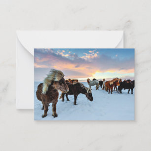 Icelandic Horses Note Card