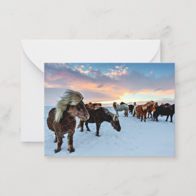Icelandic Horses Note Card (Front)