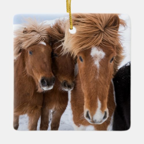 Icelandic Horses nuzzle Iceland Ceramic Ornament