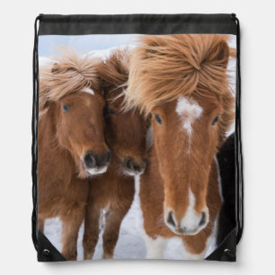 Icelandic Horses nuzzle, Iceland Drawstring Bag