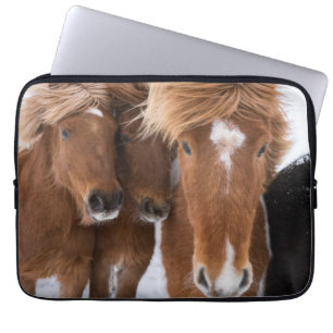 Icelandic Horses nuzzle, Iceland Laptop Sleeve