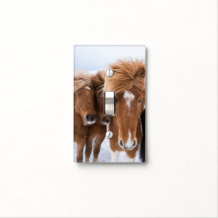 Icelandic Horses nuzzle, Iceland Light Switch Cover