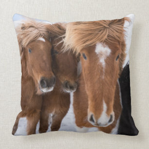 Icelandic Horses nuzzle, Iceland Throw Pillow
