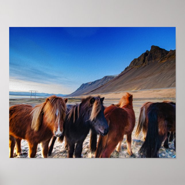 Icelandic horses oil painting poster (Front)