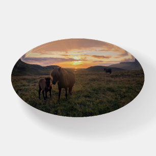Icelandic horses - paperweight